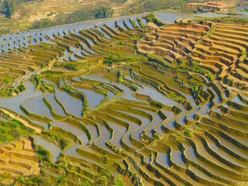 Las terrazas de arroz de Honghe Hani inscritas en la Lista del Patrimonio Mundial de la UNESCO