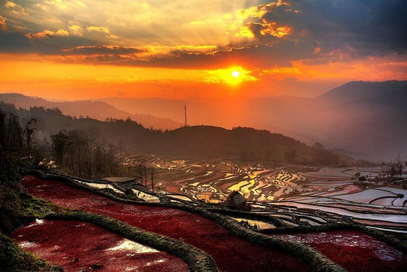 Las terrazas de arroz de Honghe Hani inscritas en la Lista del Patrimonio Mundial de la UNESCO