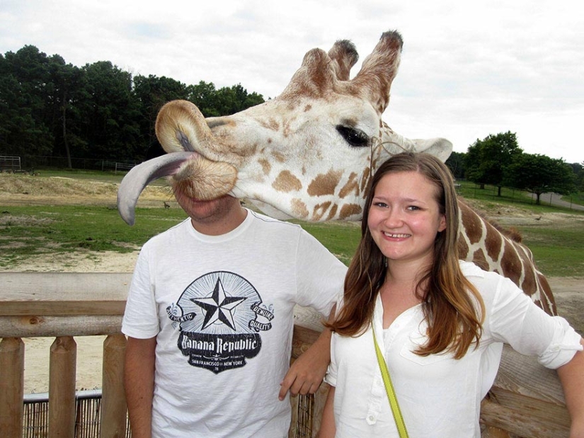 Learn From the Best: 20 Funny Animals That Can Masterly Ruin Any Photo