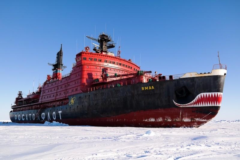 Life and life on a nuclear icebreaker