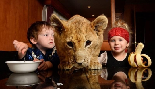 Little circus performer and his pet lion cub Tsimbi
