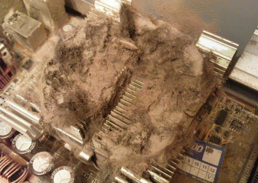 "Lo limpiaron recientemente", o la dura vida cotidiana de un reparador de equipos informáticos