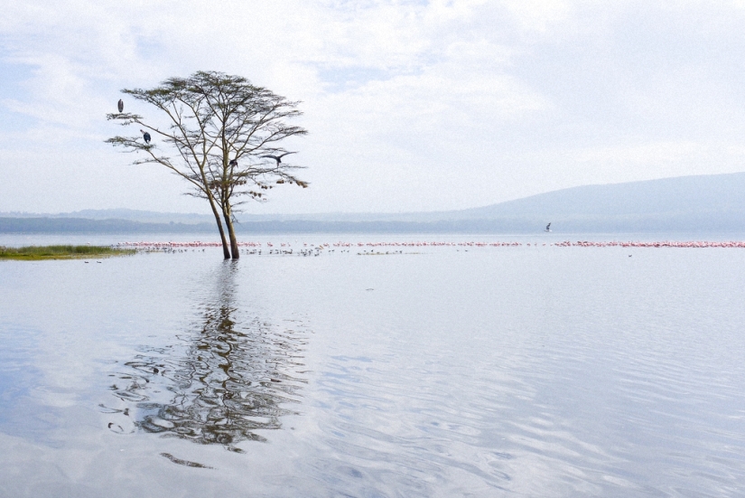 los 5 lagos más bellos del mundo