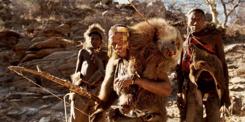 Los depredadores más terribles: se disipan los mitos de la" escuela " sobre los guerreros primitivos