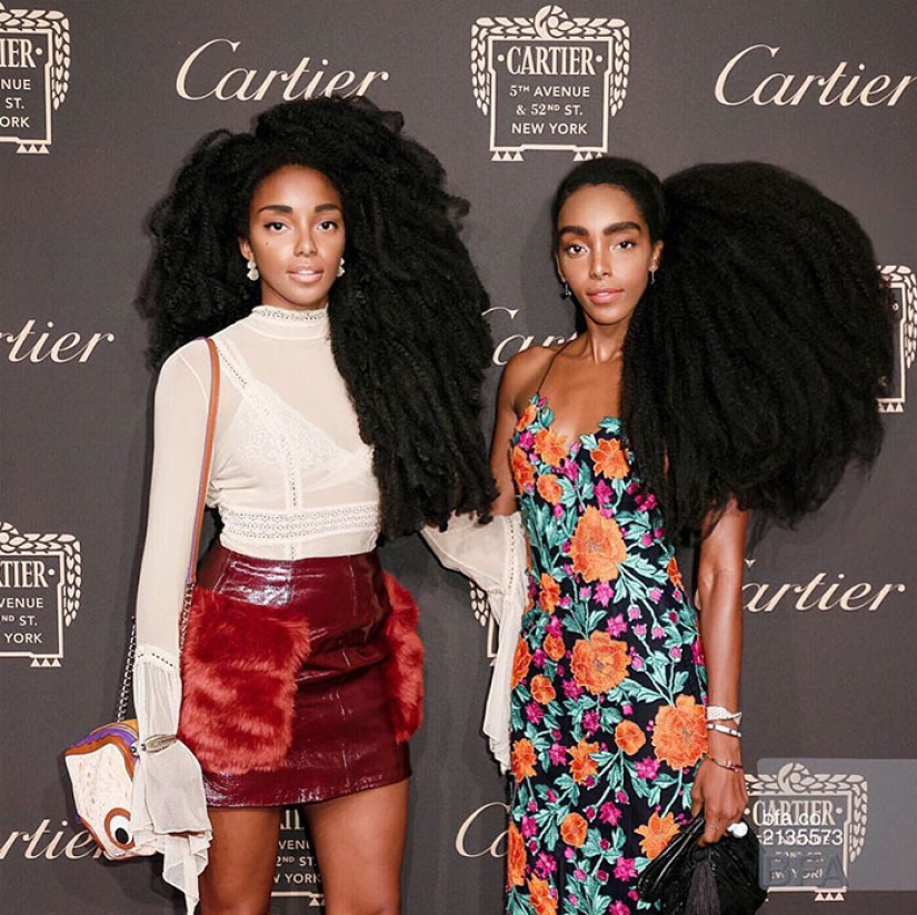 Los gemelos se hicieron famosos gracias a los Afrocos, con los que puedes prescindir de la ropa
