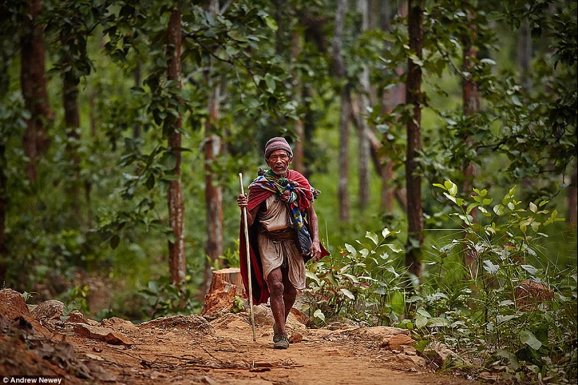 Los últimos cazadores y recolectores: la vida de una tribu primitiva en Nepal