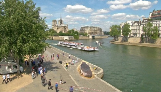 Los residentes de París encontraron una "ballena expulsada" en el terraplén del Sena