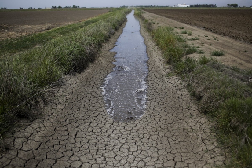 Los terribles efectos de una sequía en California