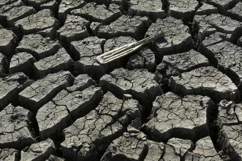 Los terribles efectos de una sequía en California