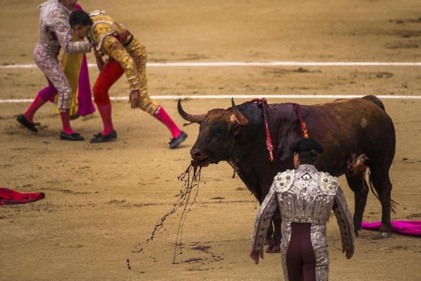 Los toros españoles obtienen una victoria histórica