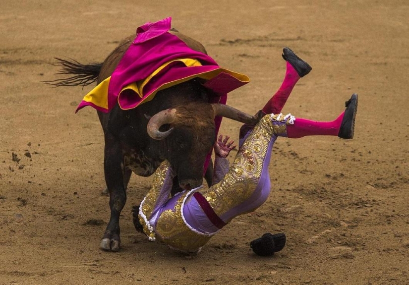Los toros españoles obtienen una victoria histórica