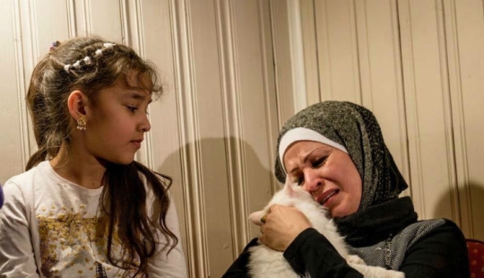 Lost cat returns to Iraqi refugee family after traveling halfway around the world