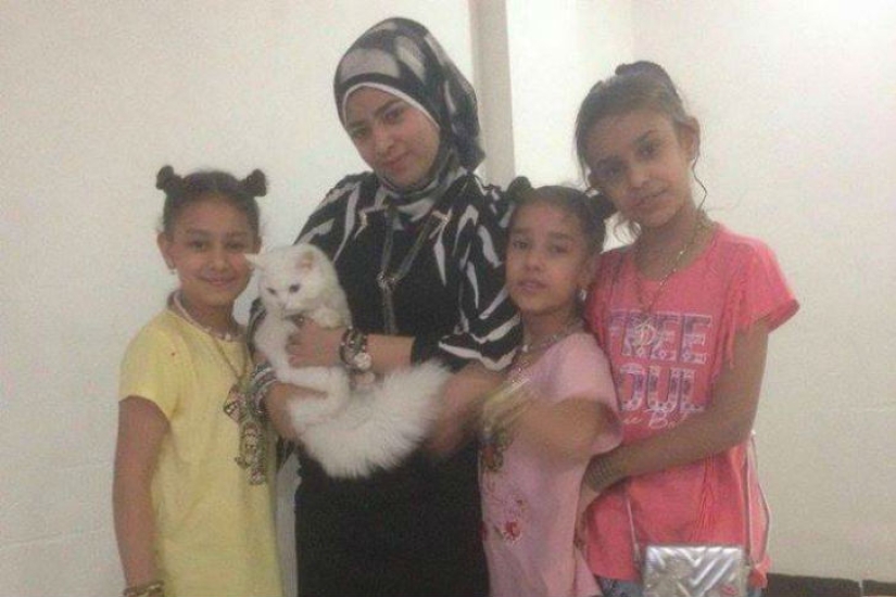 Lost cat returns to Iraqi refugee family after traveling halfway around the world
