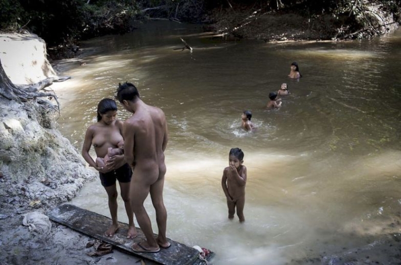 Lost in the jungle: How the people of ava live — the most secretive people on the planet