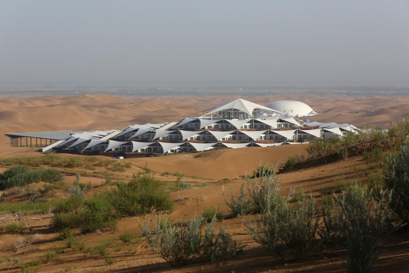 Loto en el desierto de Xiangshawan