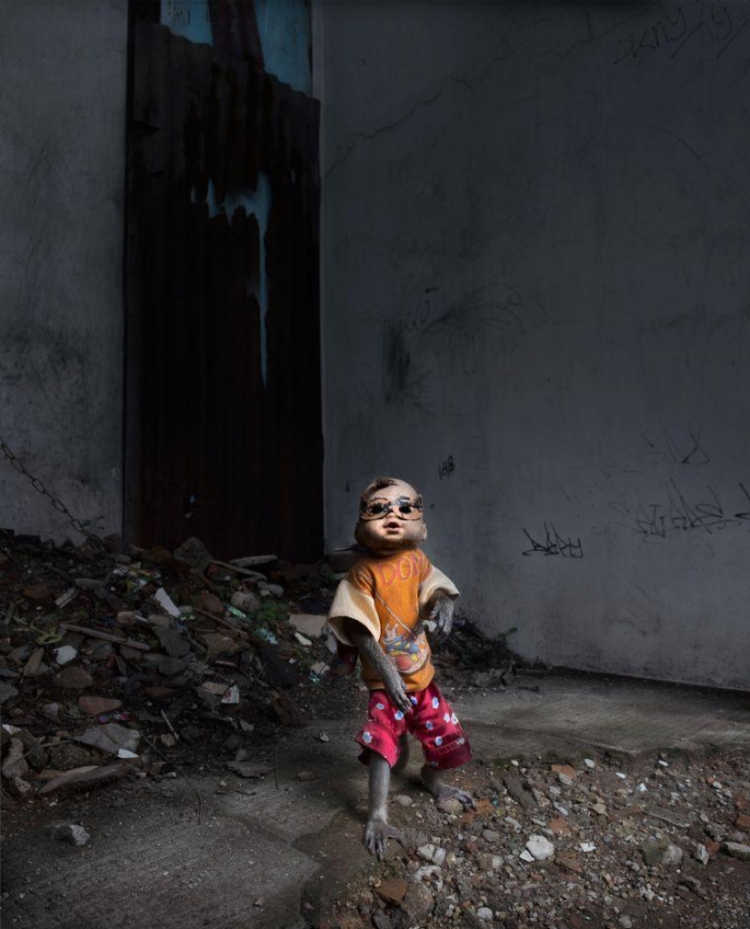 Macaques in masks - an eerie sight