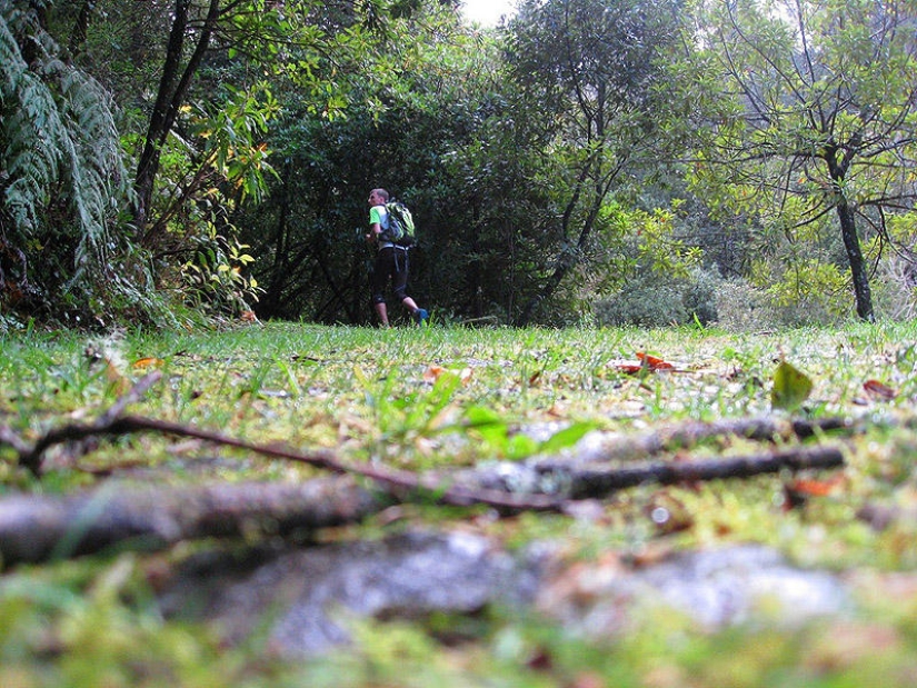 Madeira. Walk from Santana to Funchal