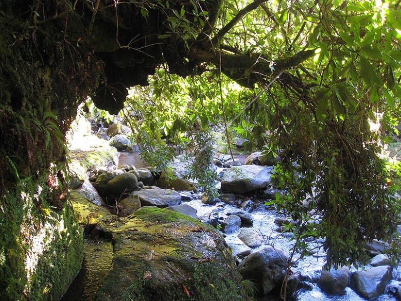 Madeira. Walk from Santana to Funchal