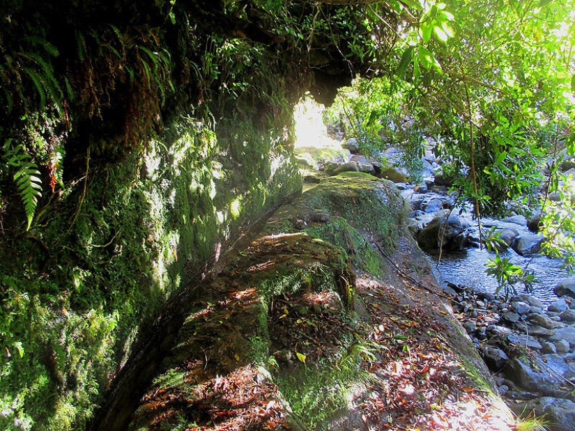 Madeira. Walk from Santana to Funchal