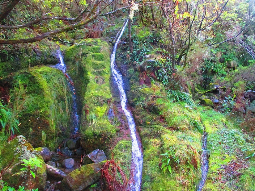 Madeira. Walk from Santana to Funchal