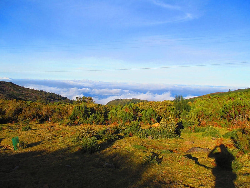 Madeira. Walk from Santana to Funchal