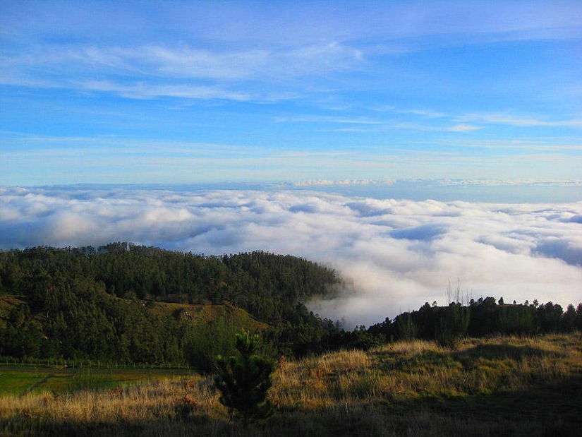 Madeira. Walk from Santana to Funchal