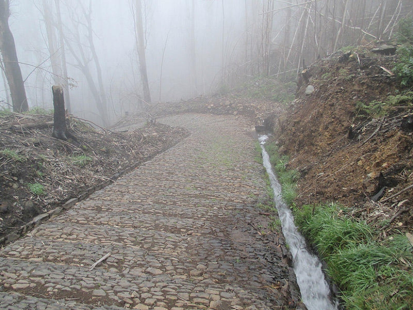 Madeira. Walk from Santana to Funchal