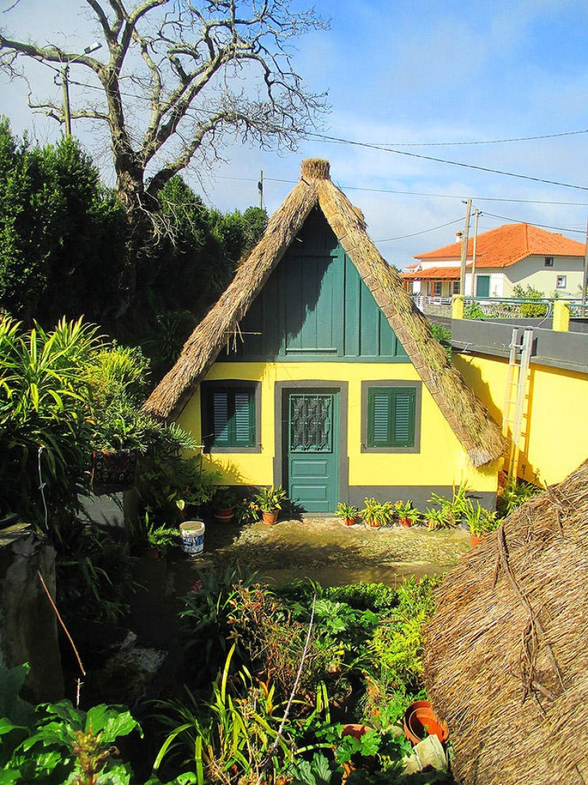 Madeira. Walk from Santana to Funchal