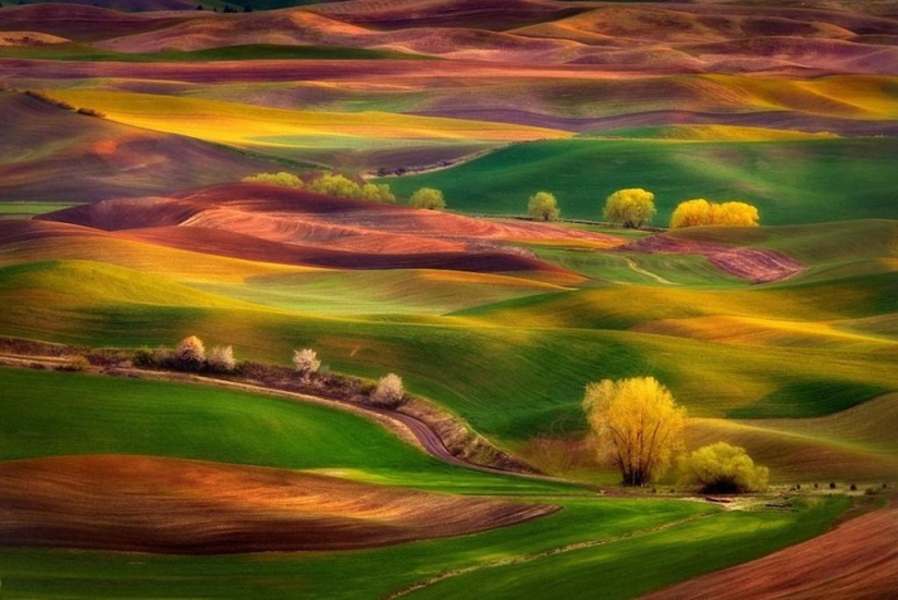 Magic Landscapes by Chip Phillips