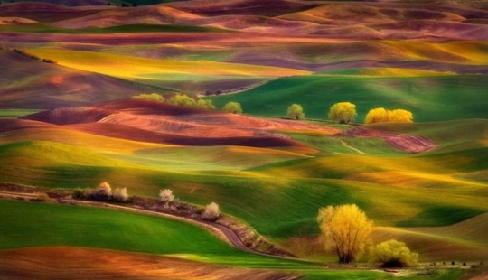 Magic Landscapes by Chip Phillips