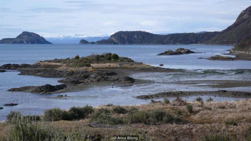 Mamihlapinatapai is the most mysterious and difficult word to translate from an almost extinct language