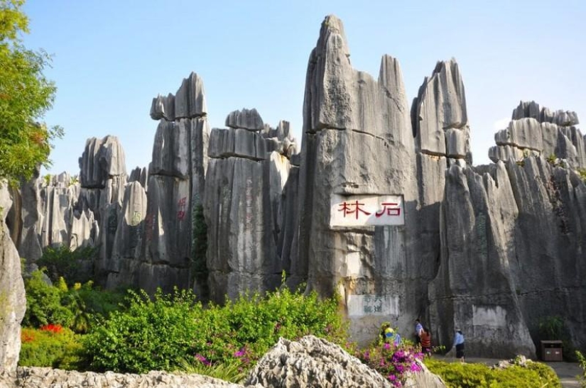 Maravillas del mundo: el bosque de piedras de Shilin en China