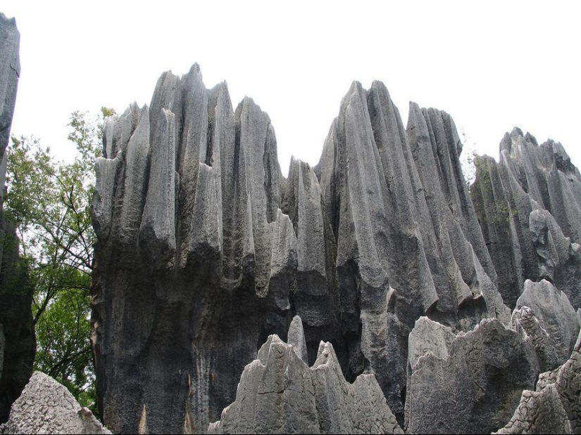 Maravillas del mundo: el bosque de piedras de Shilin en China