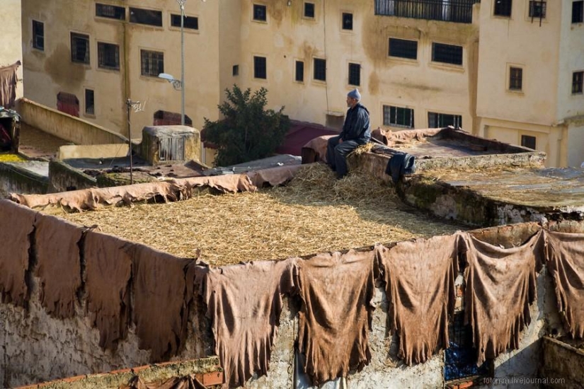 Marruecos: talleres de cuero de Fes