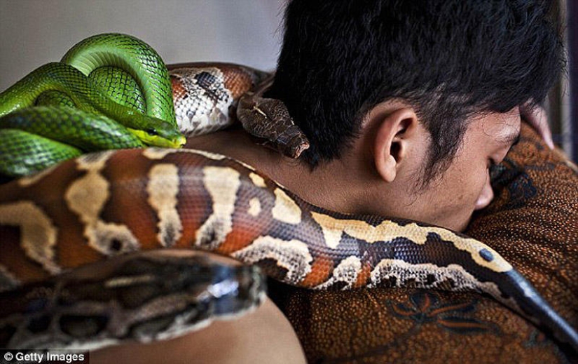 masaje de serpiente