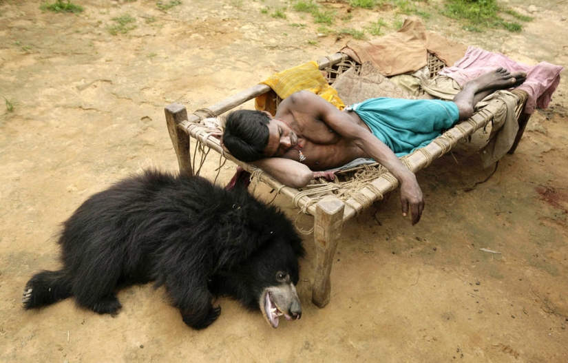 Mascota inusual: un oso domesticado en una familia india