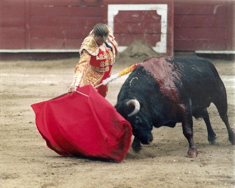 Matador Cristina Sanchez: how the bullfighting master&#39;s star rose and set