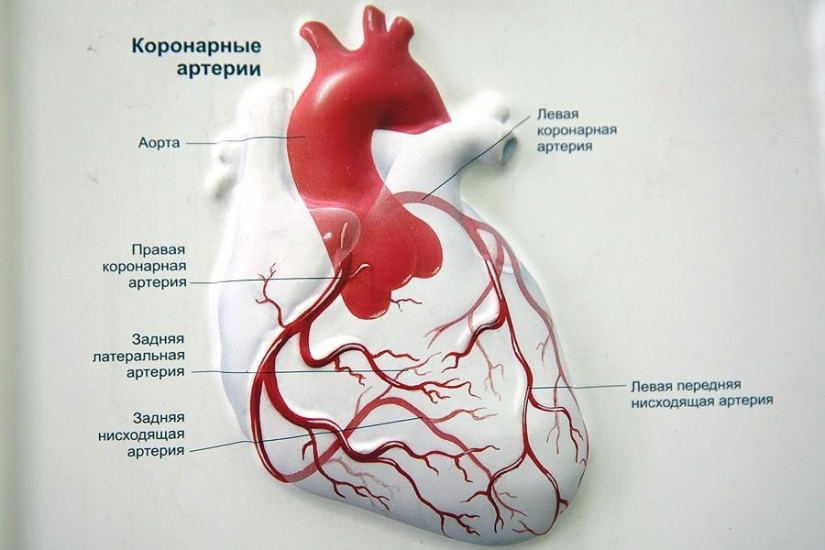 Matters of the Heart, or Operation Without Cuts