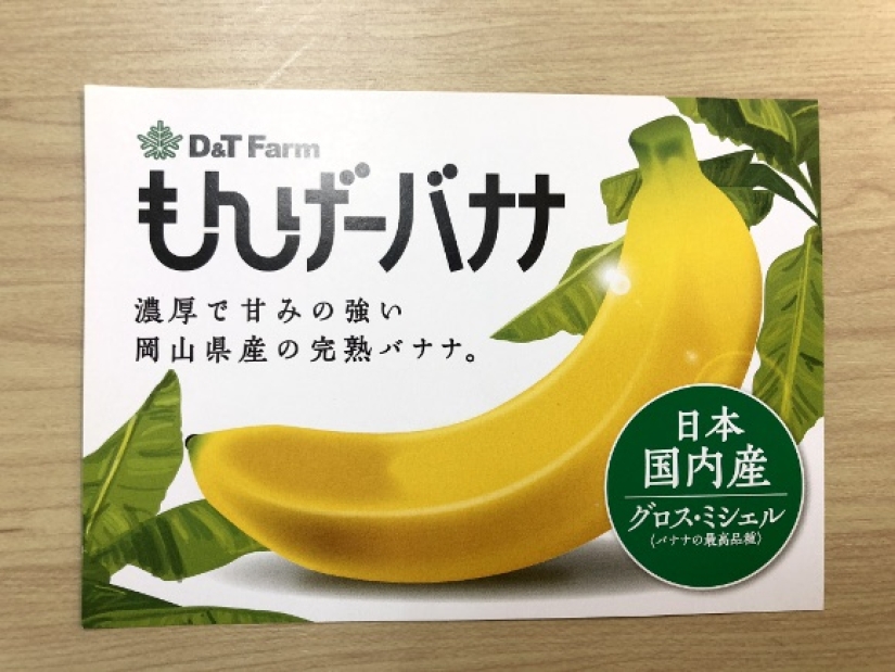 Me comen por completo: científicos Japoneses crecen los plátanos con cáscara comestible