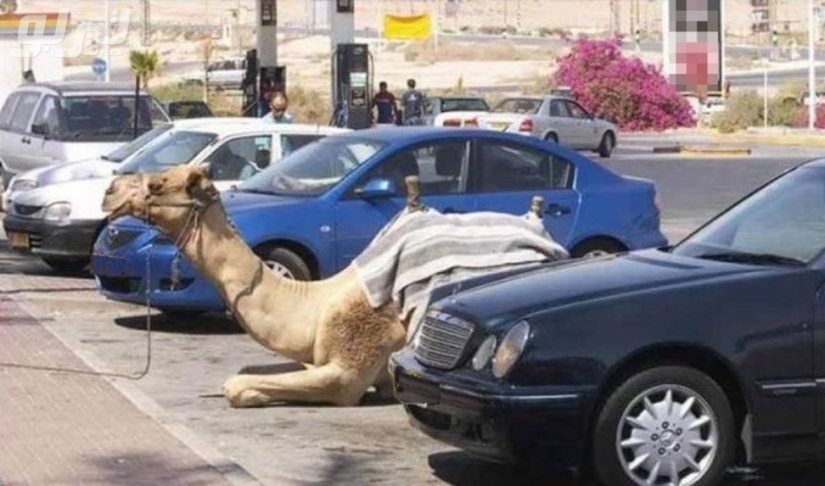 Meanwhile in Dubai