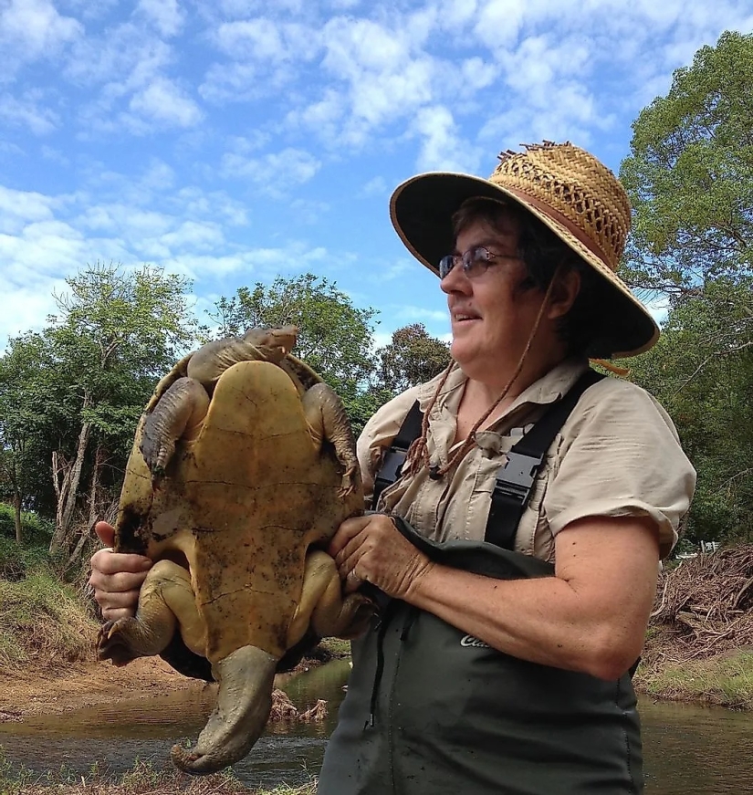 Meet 12 Incredible Conservation Heroes Saving Our Wildlife From Extinction