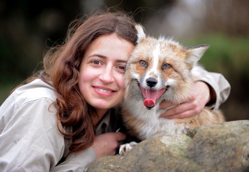 Meet the fox who thinks she&#39;s a dog