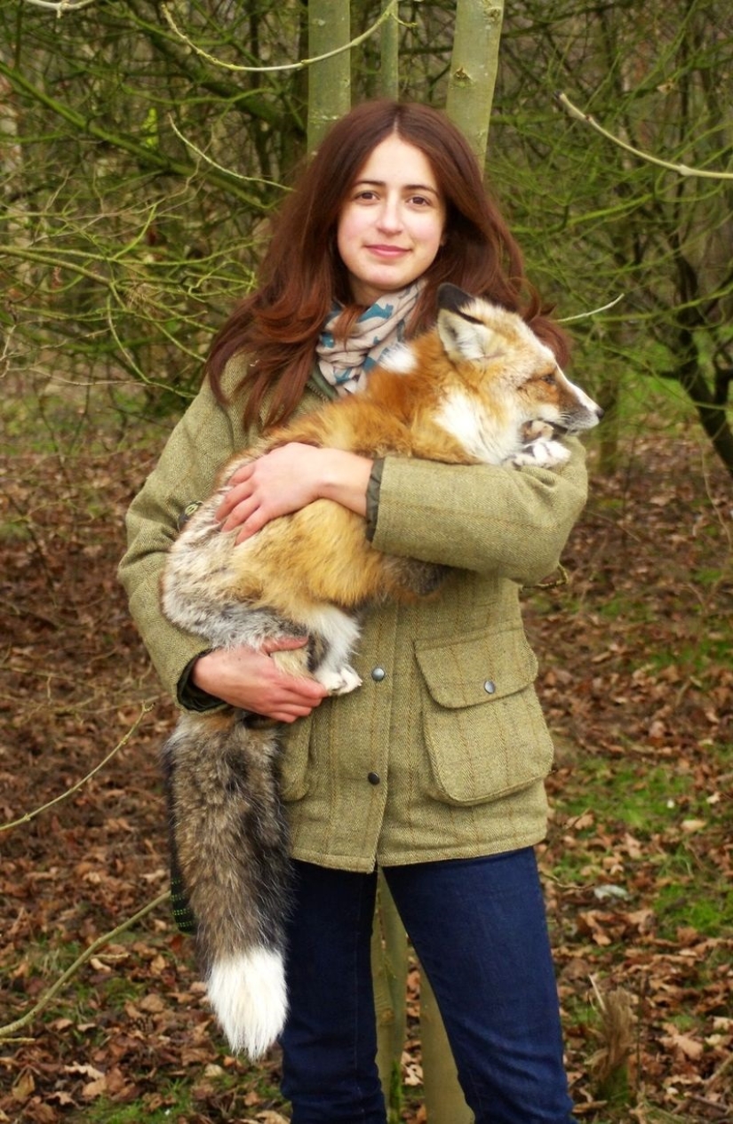 Meet the fox who thinks she&#39;s a dog