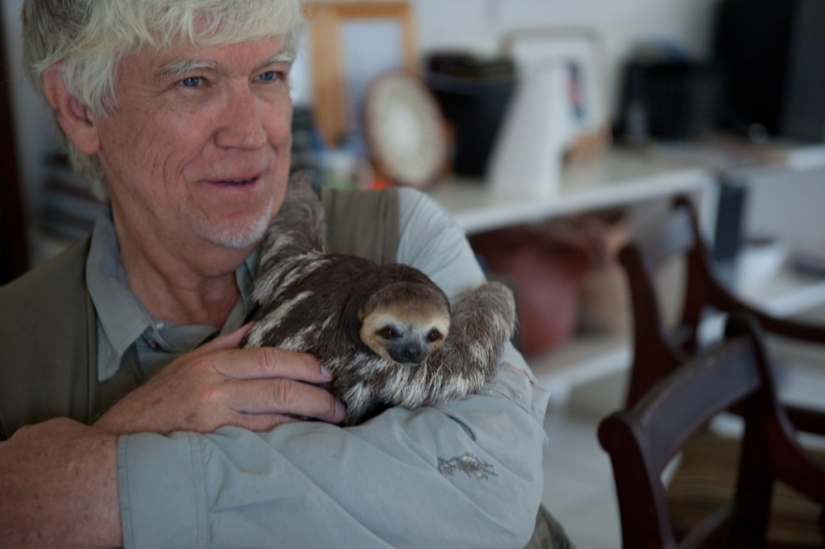 Meet the woman who lives with 200 sloths
