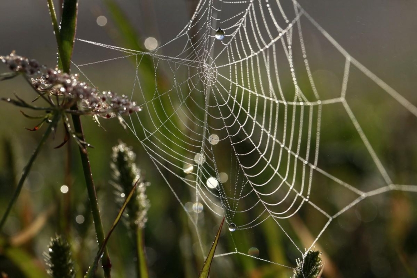 melodía de septiembre