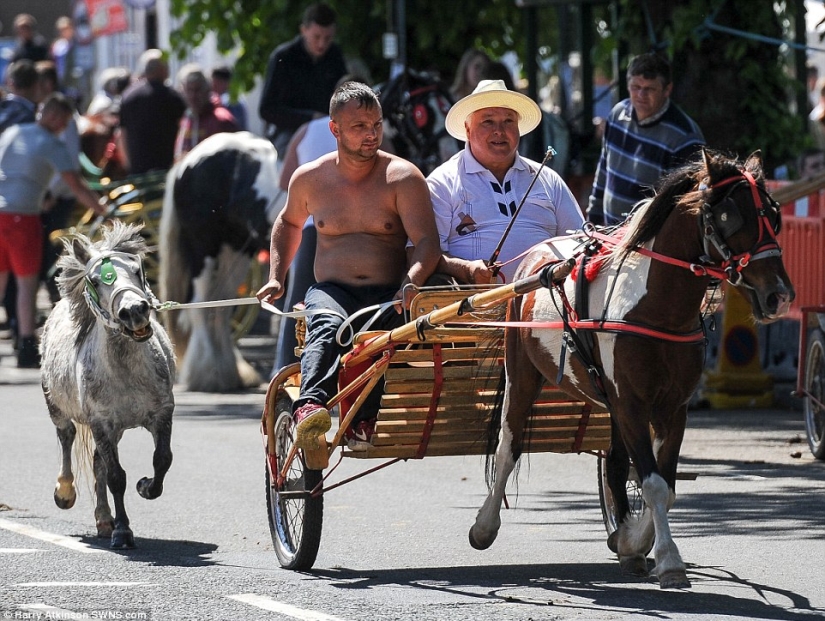 Mezclados en un grupo de caballos, personas: lo que miles de gitanos están haciendo en la Feria del Caballo de Appleby