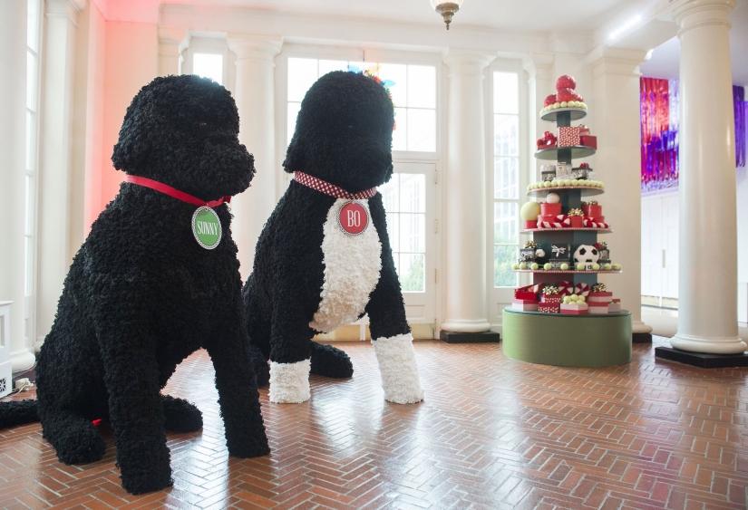 Michelle Obama has decorated the White House for Christmas for the last time