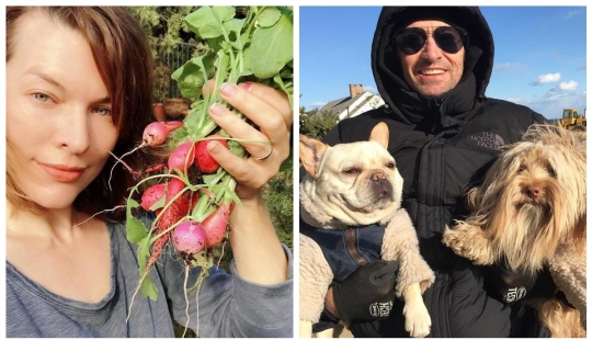 Milla Jovovich with radish and Hugh Jackman dogs: 20 unusual images of stars