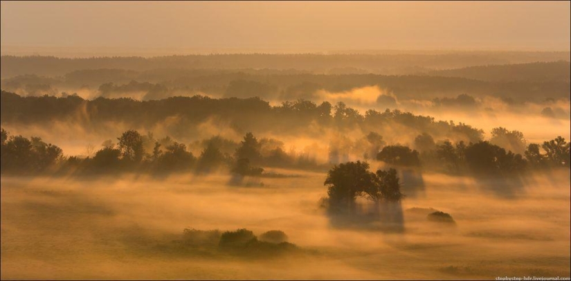 Mist Kingdom