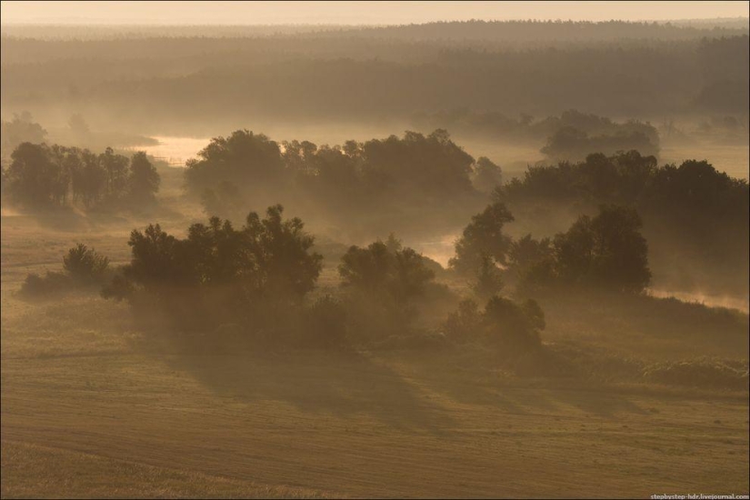 Mist Kingdom